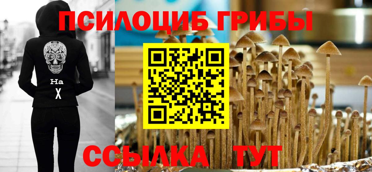 Ижевск  Галлюциногенные грибы прущие грибы  Вход с VPN  Галлюциногенные грибы Psilocybe 